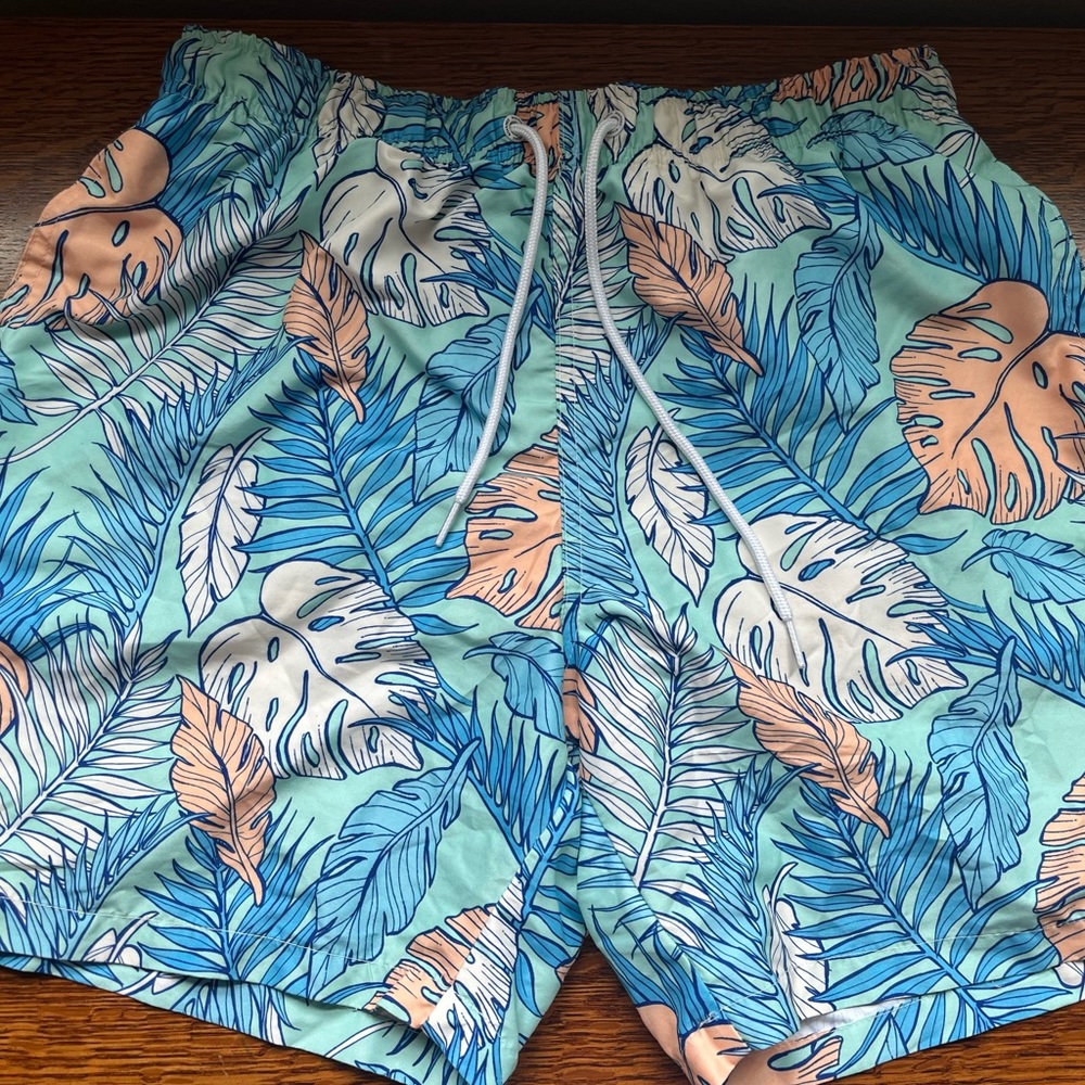 Boardies mens swim suit
